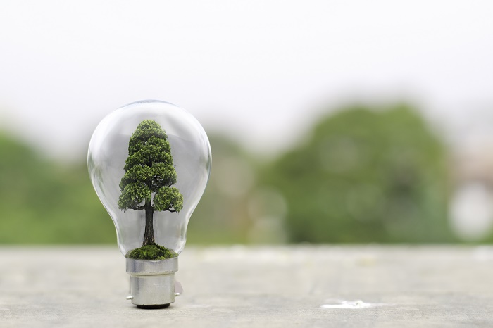 Heartwood adds lower-risk options to sustainable range